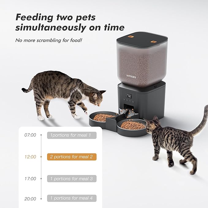 Automatic Cat Feeder for 2 Cats - 8L/34 Cups Large Capacity Auto Cat Food Dispenser with LCD Screen, 2 Food Trays, Timed Feeder, Up to 50 Portions 6 Meals Per Day, Keep Fresh