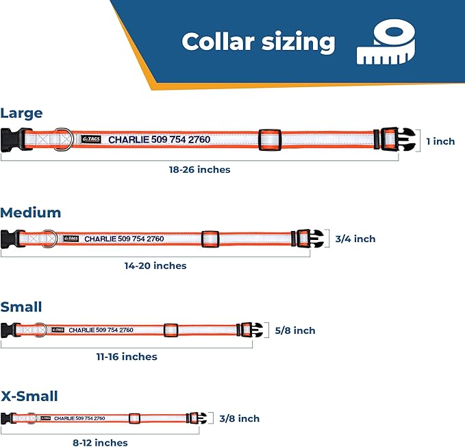 GoTags Reflective Personalized Dog Collar, Custom Embroidered with Pet Name and Phone Number in Red for Boy and Girl Dogs, 3 Adjustable Sizes, Small, Medium, and Large