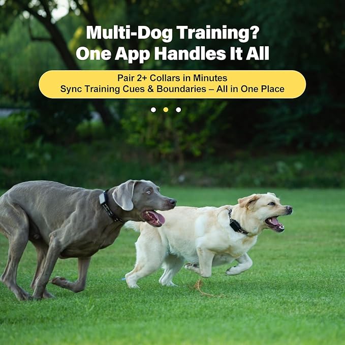 GPS Wireless Dog Fence System - Electric Training Collar with Free App for Dogs (Black)