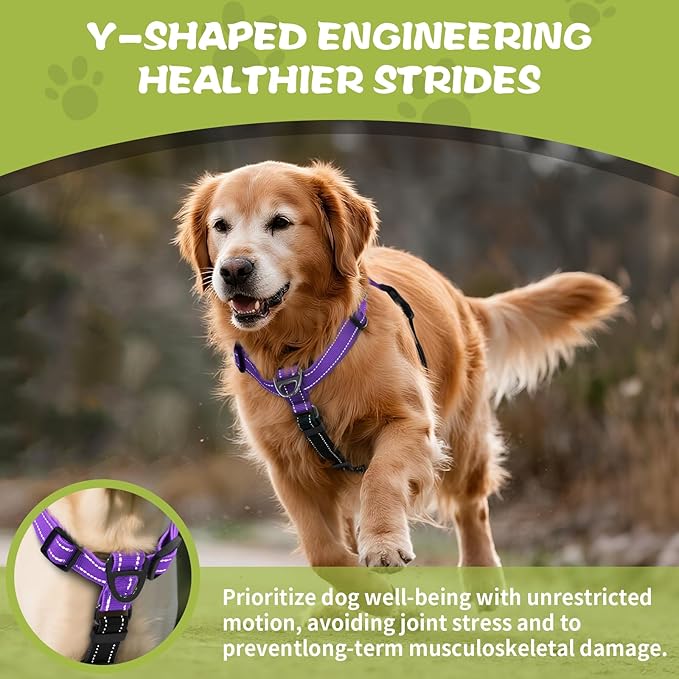 No-Pull Harness,Y-Shaped Design,Buckle-Neck Balance Harness with Reflective Stitching, Ideal for Dog Training and Night Walking, Padded Handle, Durable High-Tensile Nylon-Purple-XL