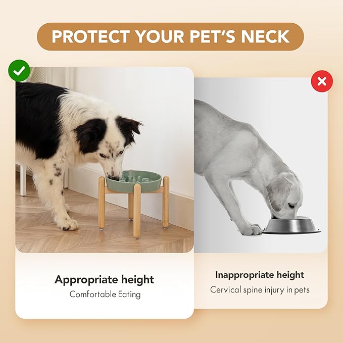 Ceramic 1.6 Cup Dog Raised Slow Feeder Set, Elevated Bowl with Wooden Stand for Medium and Large Dog, 8.2inch Slow Feeder Dish for Fast Easters, Anti-Gulping(Light Green, Single Bowl+ Stand)