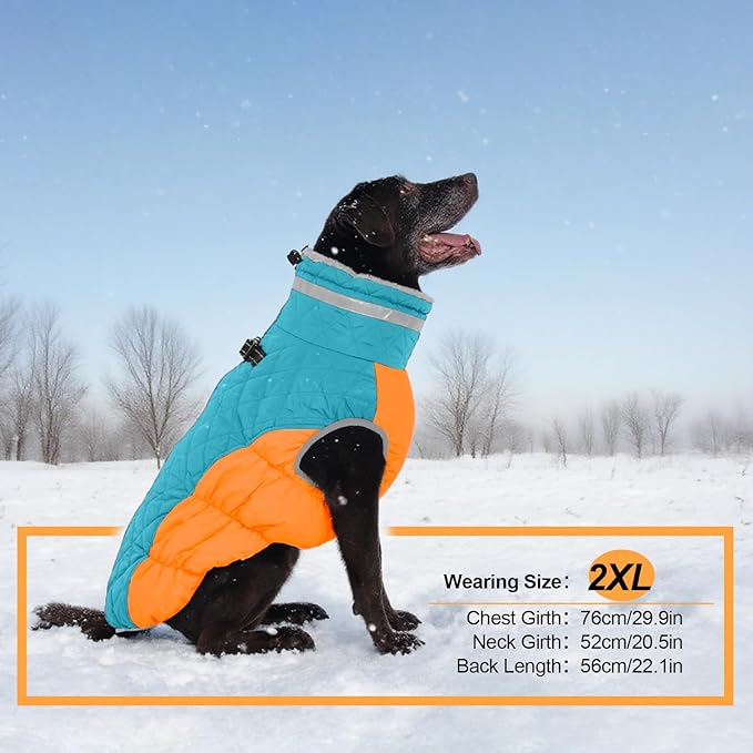 Warm Dog Coats for Medium Dogs, Waterproof Dog Jacket with Harness Built in, Zipper Clousure, Fleece Lining for Cold Weather Outdoor Walks, Snowsuit for Schnauzer, Boston Terrier, Pug - M
