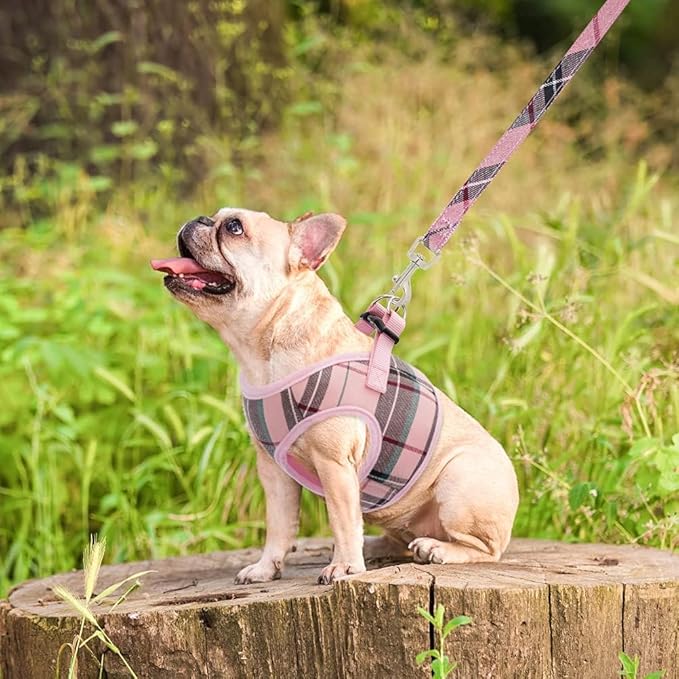 PUPTECK Soft Mesh Dog Harness and Leash Set Step-in Plaid Puppy Padded No Pull Vest Harness for XS Small Medium Sized Dogs Cats Outdoor Walking, Pink L