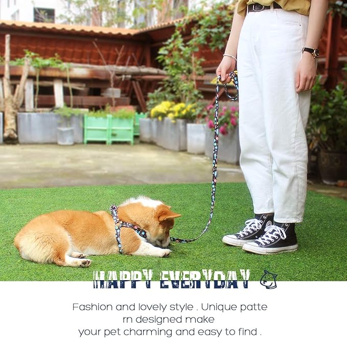 QQPETS Dog Harness Leash Set Adjustable Heavy Duty No Pull Halter Harnesses for Small Medium Large Breed Dogs Back Clip Anti-Twist Perfect for Walking (L(23"-32" Chest Girth), Space)