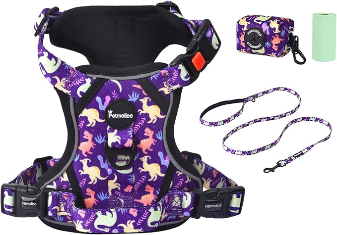 Petmolico No Pull Dog Harness Set,4 Leash Attchment Easy Control Handle Reflective Vest Dog Harness and Leash Set for Small Breed, with Poop Bag Holder,Small-Purple Dinosaur