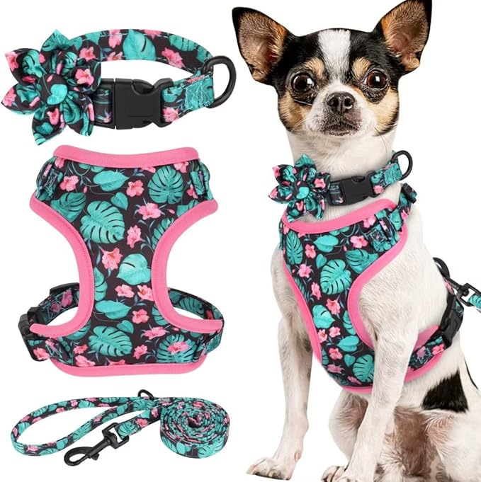 Beirui Cute Girl Dog Collars, Harnesses & Leashes Set - Adjustable Dog Collar and Leash Set with Flower - Soft Mesh Dog Vest Harness for Puppies Small & Extra Small Dogs Cats (Green,XXS)
