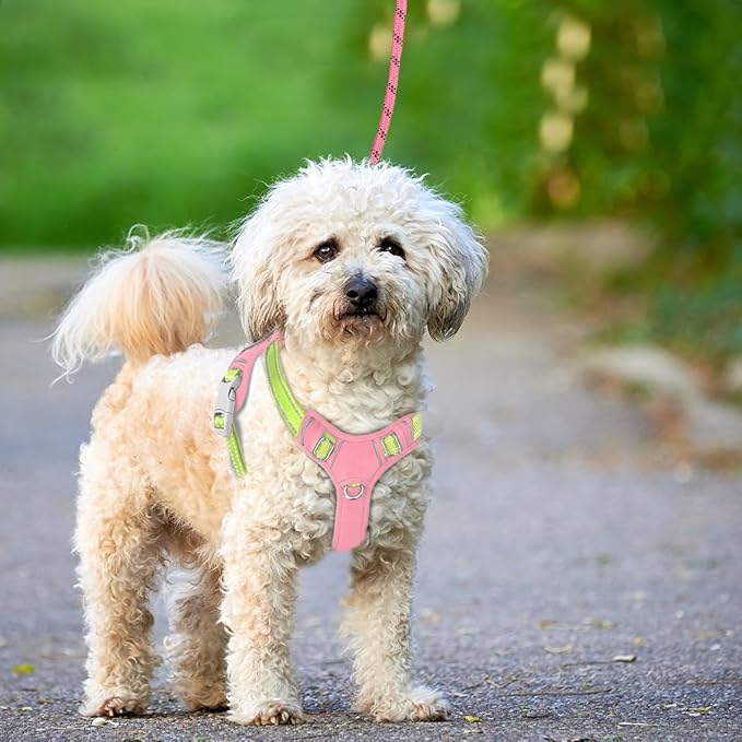 BARKBAY No Pull Dog Harness Large Reflective Dog Harness with Front Clip and Easy Control Handle for Walking Training Running with ID tag Pocket(Baby Pink & Sunlight,XS)