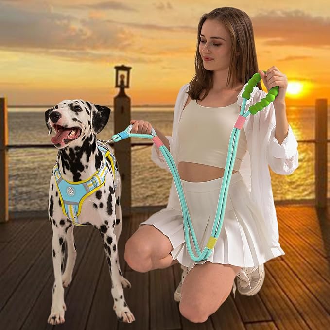JSXD Dog Leash,5 FT Heavy Duty Dog Training Leash,Double Handle Comfortable Padded Hands Free Dog Leash,Adjustable Crossbody Waist Leash for Small Medium Large Dogs(Green)