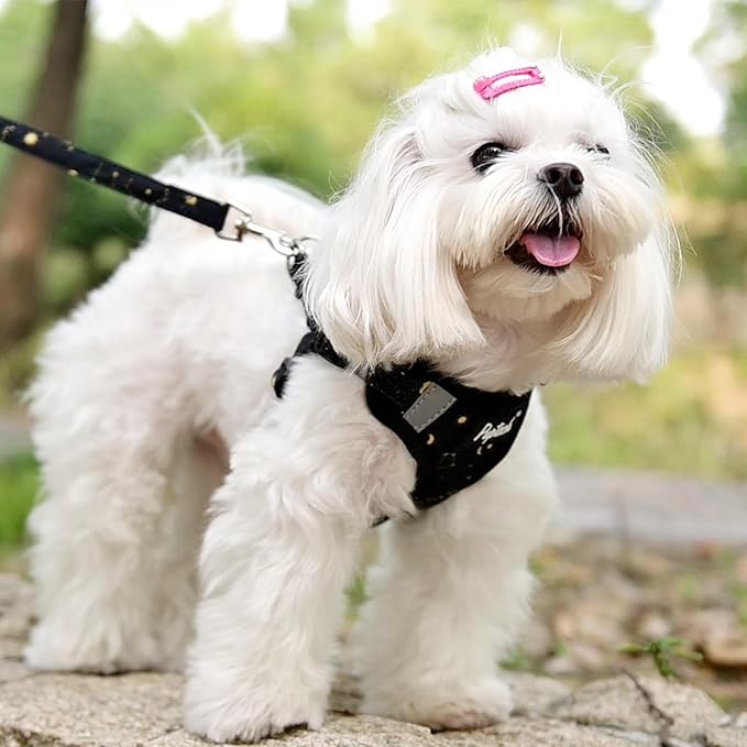 PUPTECK Dog Harness and Leash Set Small Sized, Step in No Pull Adjustable Puppy Cat Harness Reflective Pet Vest
