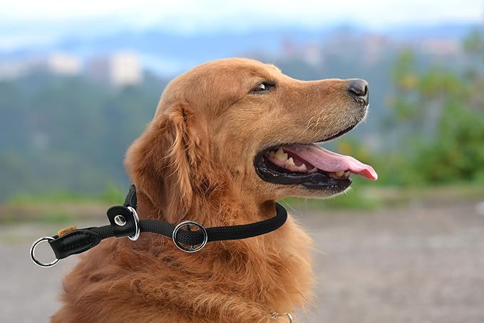Braided Round Martingale Dog Collar, Training Collar with Slidable Stop Ring and Adjustable Stopper - Ideal for Large Dogs (L(1/2") - 20" Long, Black)