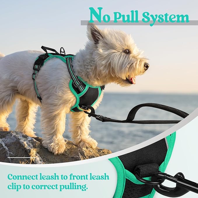 rabbitgoo Dog Harness No Pull with 2 Leash Clips, Adjustable Soft Padded, Reflective Oxford No Choke Pet Vest with Easy Control Handle for Puppy, Black & Turquoise, XS