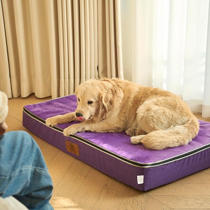 Orthopedic Memory Foam XXL Dog Bed - 6" Thick Beds for Extra Large Sized Dog - Waterproof Removable Washable Cover & Wrap-Around Zipper - Ultimate Comfort & Easy Maintenance, Purple