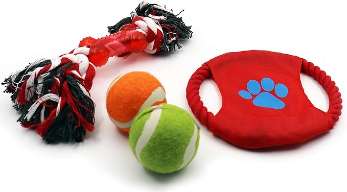 Deluxe Dog Gift Box Set with Pet Chew Toys Treats Snacks