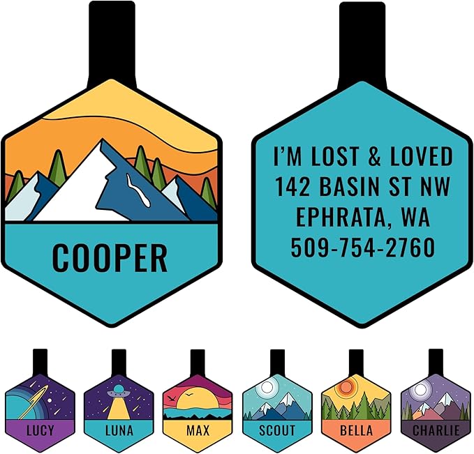 GoTags Silent Dog Tag, Personalized Engraved Hexagon Silicone Dog and Cat Name Pet ID Tags, Soundless No More Jingling Dog Tags (Mountain Orange)
