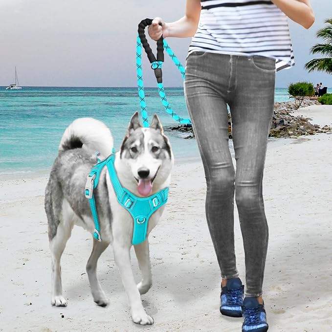 BARKBAY No Pull Dog Harness Large Reflective Dog Harness with Front Clip and Easy Control Handle for Walking Training Running with ID tag Pocket(Ocean Blue,XL)