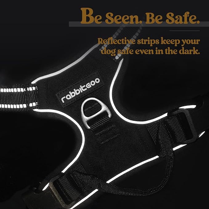 rabbitgoo Dog Harness No Pull with 2 Leash Clips, Adjustable Soft Padded, Reflective Oxford No Choke Pet Vest with Easy Control Handle for Large Dogs, Black, XL