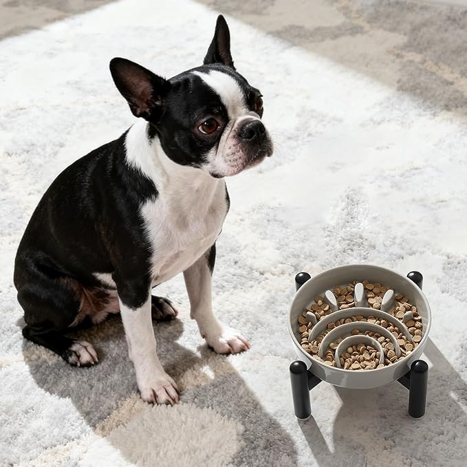 Elevated Slow Feeder Dog Bowl - Ceramic Maze Dog Food Bowl with Stainless Stand - Raised Slow Feeder for Small Breeds to Control Eating Speed - 6.3 Inch - 0.8 Cups (80g) - Grey