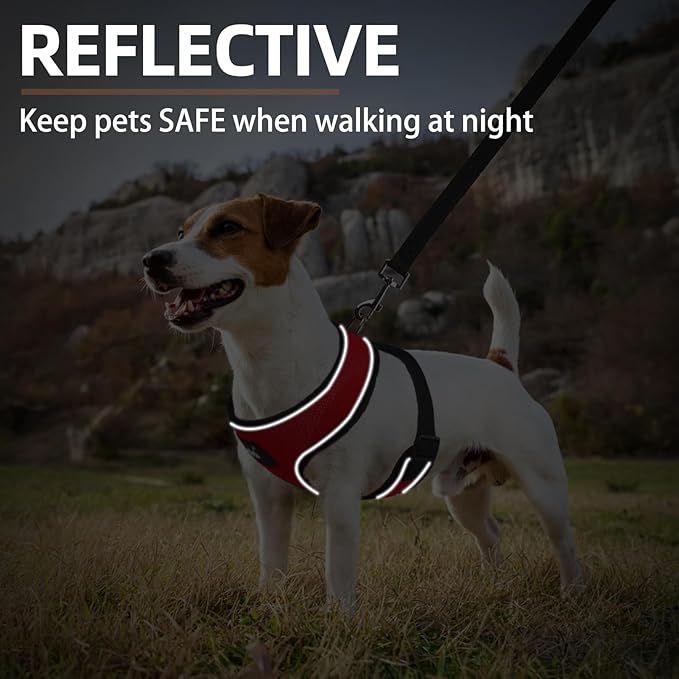 PUPTECK Soft Mesh Dog Harness and Leash Set Pet Puppy Cat Comfort Padded Vest No Pull Harnesses, Solid Red, S