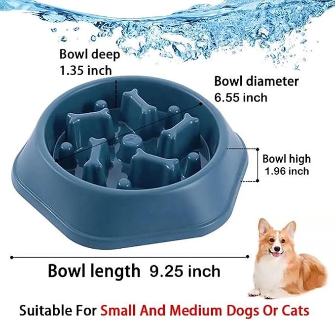 2 PCS Slow Feeder Dog Food Bowl – Bowl Designed to Slow Eating, Promotes Healthy Digestion and Prevents Bloat, Ideal for Cats and Dogs (SkyBlue - Green)