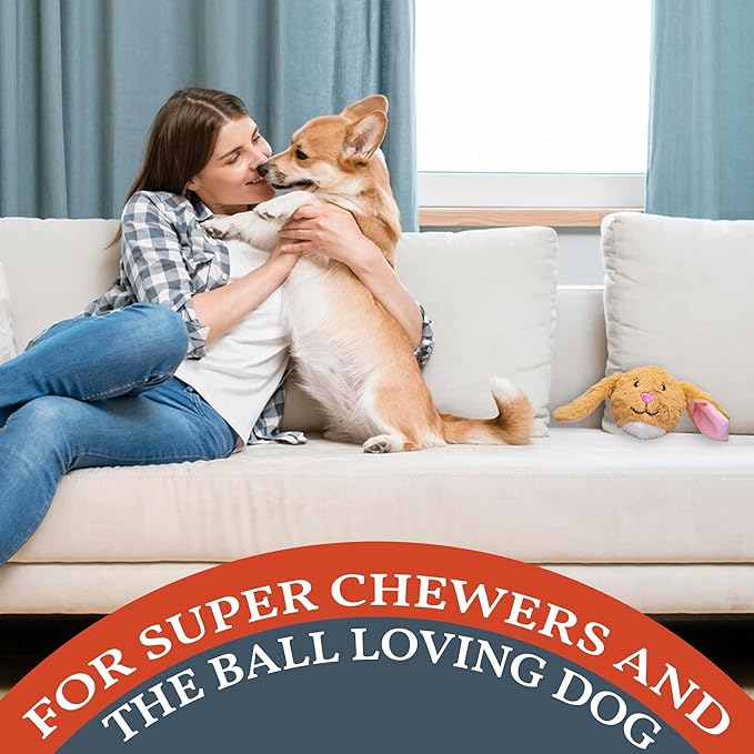 Flourish Pets 2 in 1 Multi-Layer Chew Toy for Active Dogs | Non-Toxic BPA Free Double Stitched Soft Fabric Exterior Dog Toys | Long-Lasting Dog Plush Toys – Bunny 3.5"