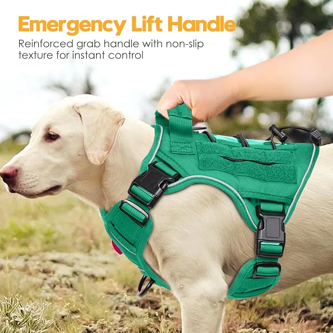Heavy-Duty Tactical Dog Harness for Large Dogs, No Pull Adjustable Reflective Pet Vest with Molle System, K9 Military-Grade Control for Service Training, Outdoor & 10+ Breeds, Turquoise, Medium
