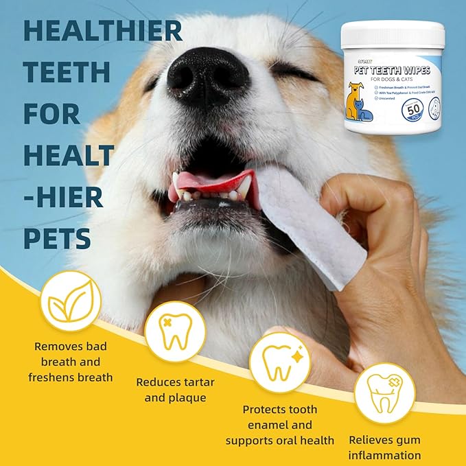 No-Rinse Dog Teeth Cleaning Wipes - Cat & Dog Fresh Breath Pet Dental Finger Wipes, Dog Toothbrush Dental Wipes to Easy Remove Plaque & Tartar, Gently Cleans Discharge (XL-50PCS, Honey)
