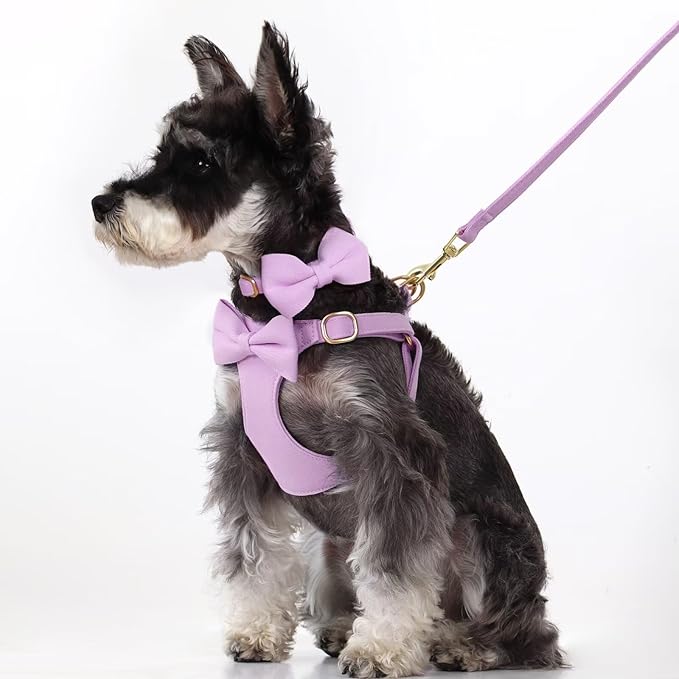 Beirui Cute Extra Small Dog Harness Set with Three Detachable Bows, Adjustable Step in Dog Harness Collar and Leash Set with Secure Metal Buckle for Daily Walking, Parties & Holiday Outfits(Purple,XS)