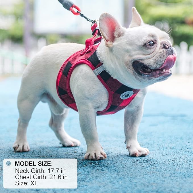 BEAUTYZOO Small Dog Harness and Leash Set,Step in No Choke No Pull Soft Mesh Dog Harnesses Reflective for Extra-Small/Small Medium Puppy Dogs and Cats, Plaid Dog Vest Harness for XS S Pets, Red M