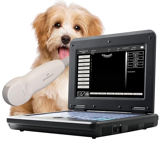CONTEC Veterinary Ultrasound Scanner for Pregnancy Check On Small Animals Dog Cat Rabbit with Micro Convex Probe