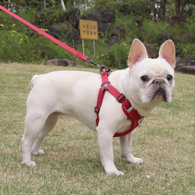 Dog Harness and Leash Set, Adjustable Triangle, Reflective Adjustable Puppy Vest, No Pull Soft Mesh Harness for Small, Medium Dogs, Cats (Red, S)