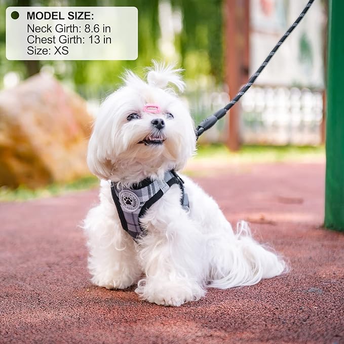 BEAUTYZOO Small Dog Harness and Leash Set,Step in No Choke No Pull Soft Mesh Dog Harnesses Reflective for Extra-Small Medium Puppy Dogs and Cats, Plaid Dog Vest Harness for XS S Pets, Grey XS