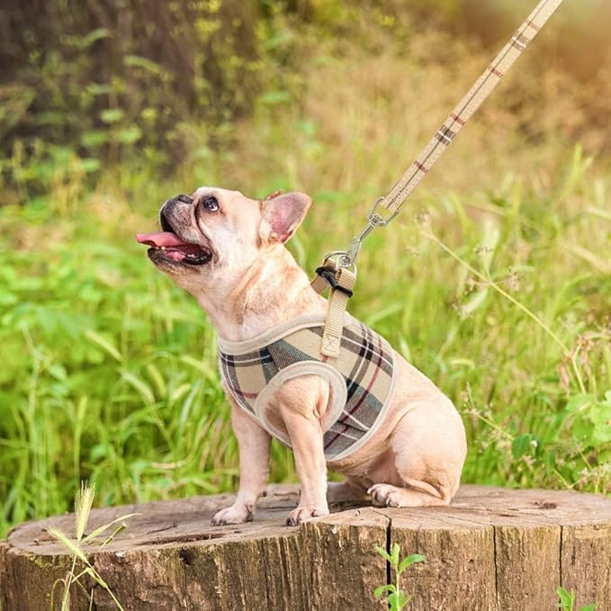 PUPTECK Soft Mesh Dog Harness and Leash Set Step-in Plaid Puppy Padded No Pull Vest Harness for XS Small Medium Sized Dogs Cats Outdoor Walking, Beige S