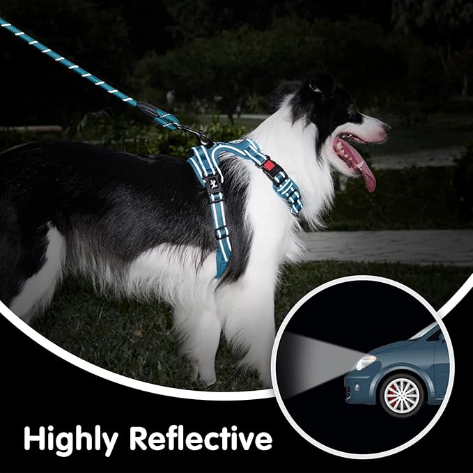 PoyPet No Pull Dog Harness and 5 Feet Leash Set, Release on Neck Reflective Adjustable Pet Vest, Front & Back 2 D-Ring and Soft Padded Pet Harness with Handle for Small to Large Dogs(Tumalo Teal,S)