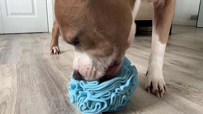 Glory To Dog Medium Breed Snuffle Interactive Foraging Dog Puzzle Ball Toy Blue Large