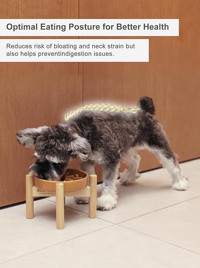 Ceramic Maze Dog Slow Feeder with Non-Slip Silicone Rim (& Bamboo Stand) – Heavy-Duty Stoneware Bowl with Puzzle Pattern for Bloating & Obesity Prevention (Raised-Blue-M)