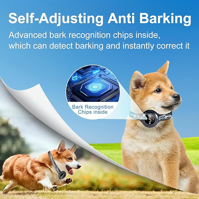 2-in-1 Shock Collar for Dogs & Dog Training Collar with Remote Control 3300FT, Dog Bark Collar with IP67 Waterproof 5 Level Sensitivity, Rechargeable E Collar for Small Medium Large Dogs - Black