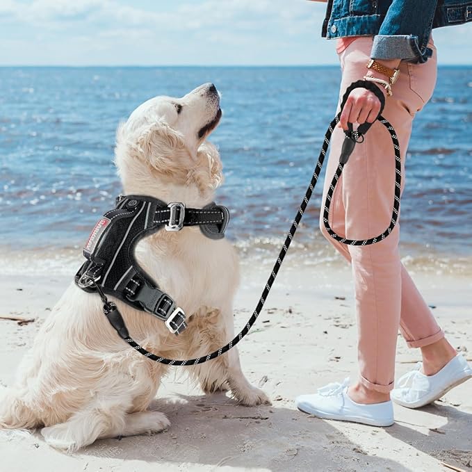 BARKBAY No Pull Dog Harness 3 Buckles Large Reflective Dog Harness with Front Clip and Easy Control Handle for Walking Training Running with ID tag Pocket(Black,L)