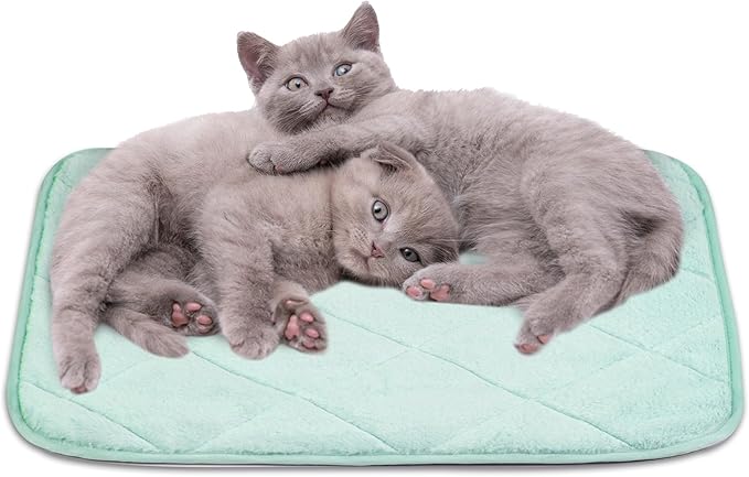NWK Fluffy Self Warming Cat Mat, Cat Blanket, Thermal Dog Mat, Washable, Non-Slip Bottom for Sofa & Crate & Kennel & Car Seat (Mint Green, Medium (28'' X 19'' X 0.4''))