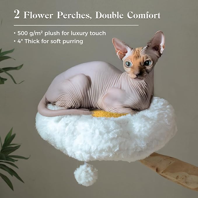 PAWZ Road Cat Tree for Indoor Cats Large Adults, 59 Inches Modern Cat Tower with Large Basket and Hammock, Natural Solid Wood, Luxury Condo & Dual Perches, Modern Cat Furniture for Big Cats, White