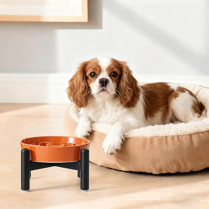 Elevated Slow Feeder Dog Bowl - Ceramic Maze Dog Food Bowl with Stainless Stand - Raised Slow Feeder for Small Breeds to Control Eating Speed - 6.3 Inch - 0.8 Cups (80g) - Orange