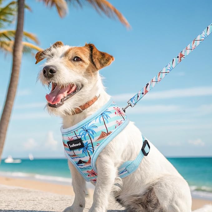 SCENEREAL Small Dog Harness and Leash Collar Set - No Pull Dog Harness for Small & Medium Sized Dogs - Soft Mesh Vest for Puppies, Chihuahua, Yorkie, Spring Summer Hiking Walking, Coconut Tree M
