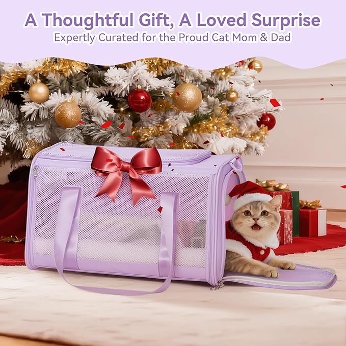 PETSFIT Cat Car Carrier for Medium Cats Dogs, 19"x12"x12" Small Dog Carrier, with Patent Safety Buckles and Escape-Proof Zipper - Safeguarding Car Travel, Vet Visit, Outdoor