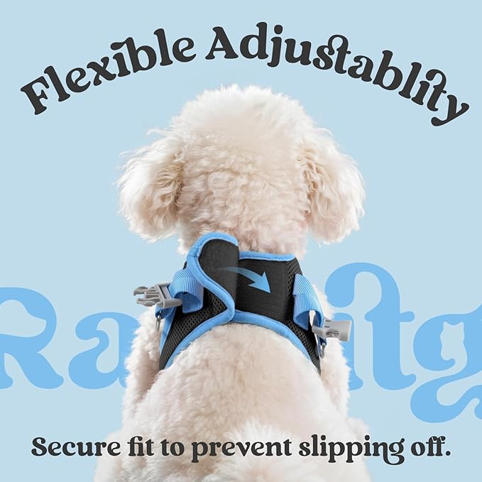 rabbitgoo Dog Harness Small Sized and Leash Set, Step-in Breathable Pet Harness, Soft Walking Reflective Puppy Vest for Small Dogs, Black & Light Blue, XS