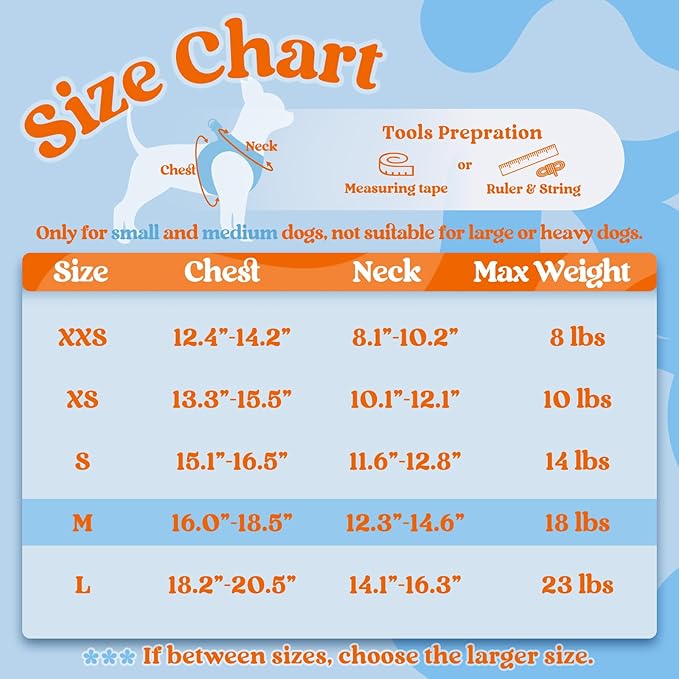 rabbitgoo Dog Harness Small Sized and Leash Set, Step-in Breathable Pet Harness, Soft Walking Reflective Puppy Vest for Small Dogs, Light Blue & Orange, M