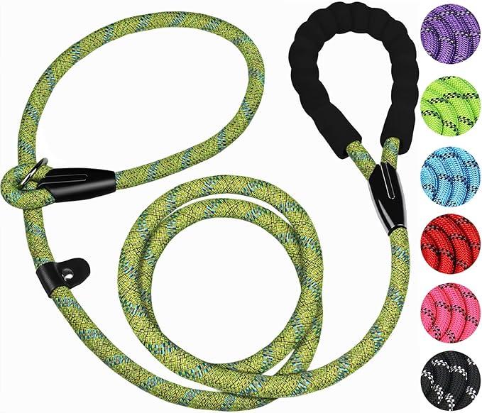 6 FT Heavy Duty Dog Leash, Durable Premium Quality Strong Training Rope Slip Leash with Comfortable Padded Handle and Highly Reflective Threads for Small Medium and Large Dogs, (Blue Green)
