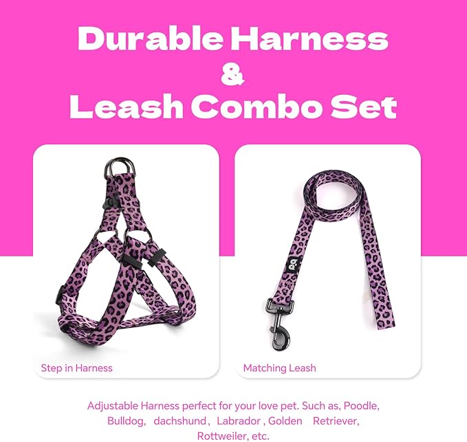 QQPETS Dog Harness Leash Set Adjustable Heavy Duty No Pull Halter Harnesses for Small Medium Large Breed Dogs Back Clip Anti-Twist Perfect for Walking