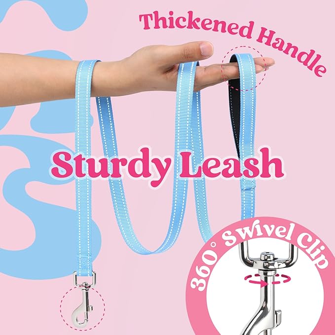 rabbitgoo Dog Harness Small Sized and Leash Set, Step-in Breathable Pet Harness, Soft Walking Reflective Puppy Vest for Small Dogs, Pink & Light Blue, S