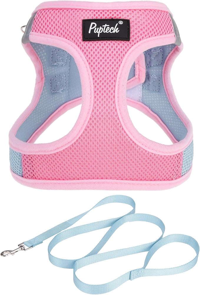 PUPTECK Dog Harness and Leash Set for Small Medium Dogs No Pull Step-in Soft Mesh Puppy Cat Vest Harnesses Reflective at Night, Pink & Blue, M