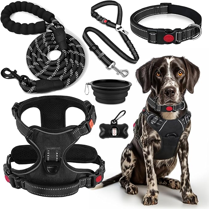 No Pull Dog Harness, Collar & Leash Set | Includes Dog Seat Belt, Collapsible Bowls & Poop Bag Dispenser. Ideal for Training, Walking, Hiking. Fits Small to Large Dogs(Black-S)