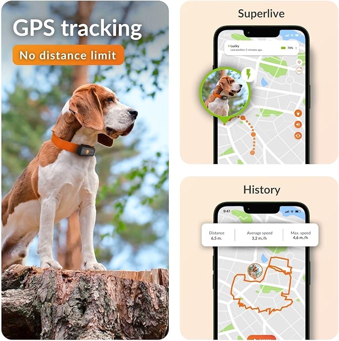 Weenect Dog XS - New GPS Tracker for Dogs | Real-time Mini GPS Tracker for Dogs | Waterproof | Smallest Model on The Market | Subscription Required